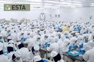 特供新加坡燕窝、溯源码燕窝与代购燕窝的全面解析